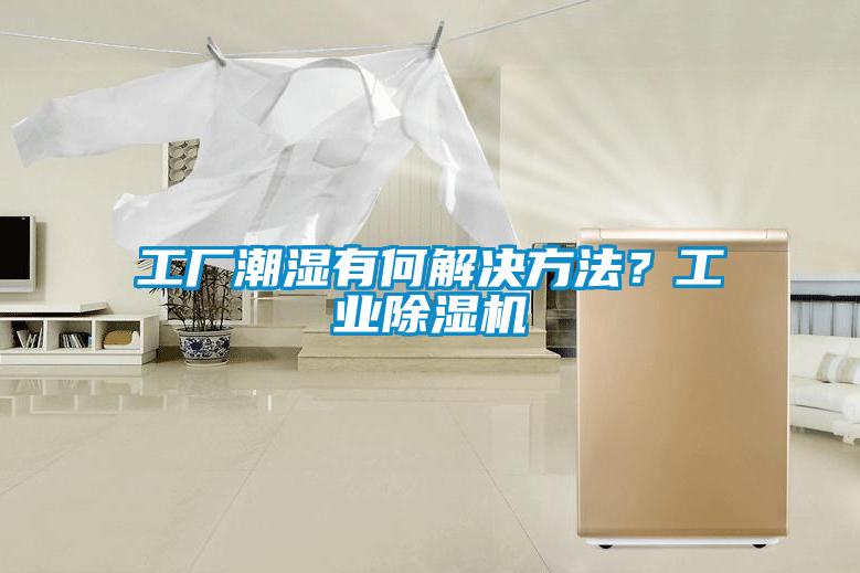 工廠潮濕有何解決方法？工業(yè)除濕機
