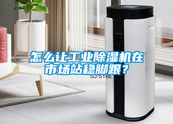 怎么讓工業(yè)除濕機在市場站穩(wěn)腳跟？