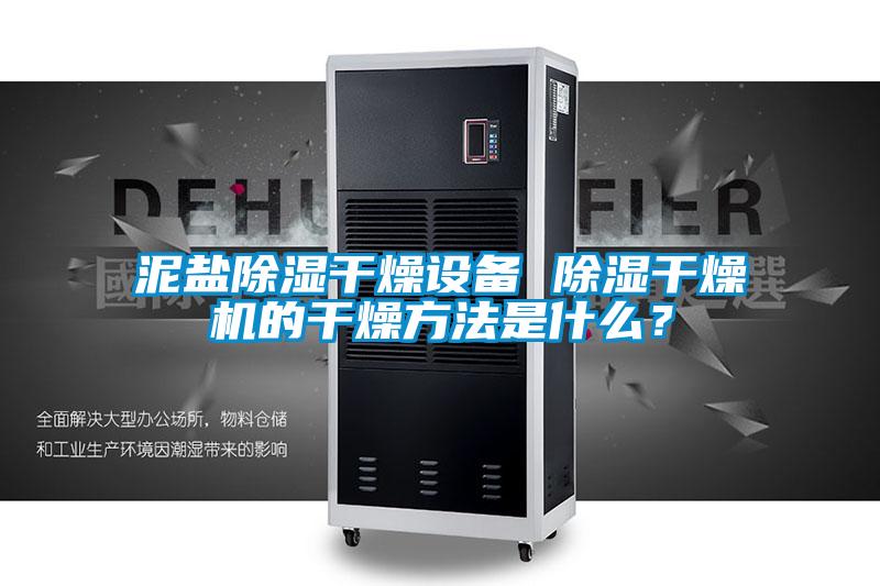 泥鹽除濕干燥設(shè)備 除濕干燥機(jī)的干燥方法是什么？
