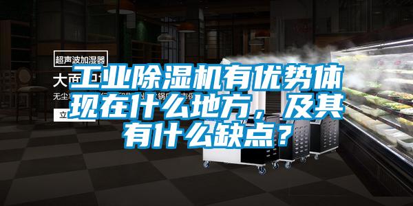 工業(yè)除濕機有優(yōu)勢體現(xiàn)在什么地方，及其有什么缺點？