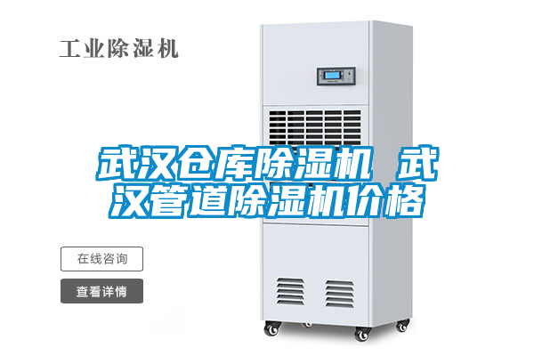 武漢倉(cāng)庫(kù)除濕機(jī) 武漢管道除濕機(jī)價(jià)格