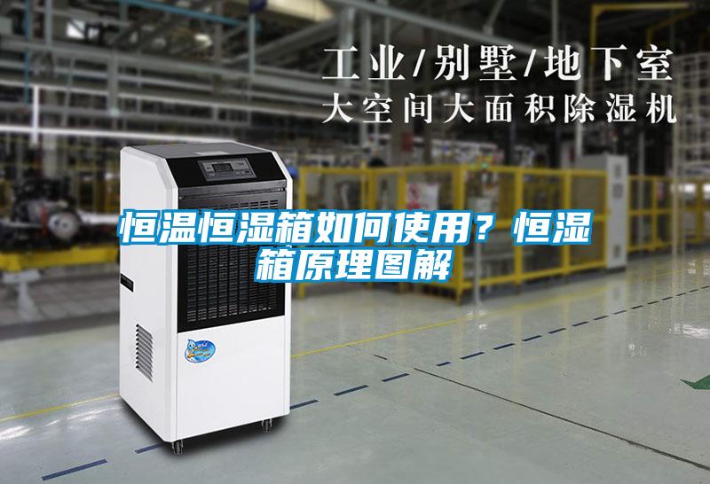 恒溫恒濕箱如何使用？恒濕箱原理圖解