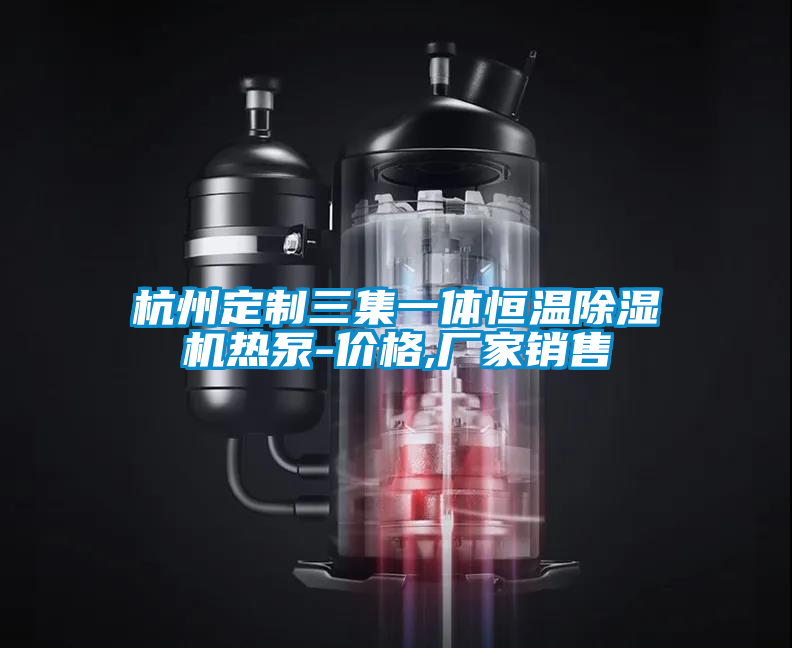 杭州定制三集一體恒溫除濕機(jī)熱泵-價(jià)格,廠家銷售