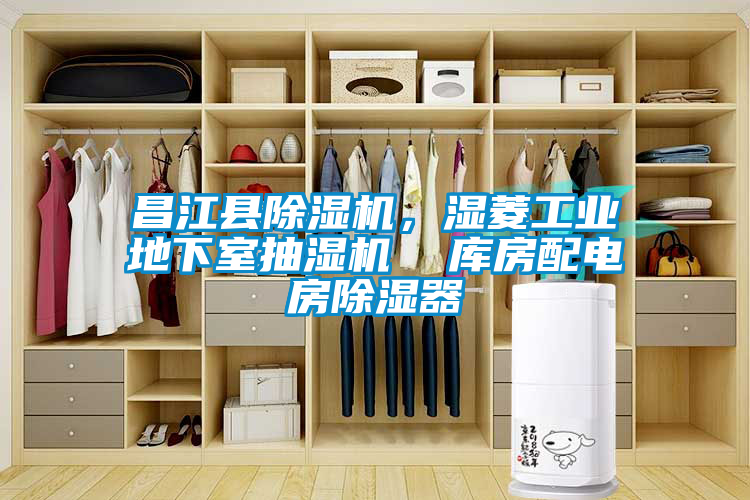 昌江縣除濕機(jī)，濕菱工業(yè)地下室抽濕機(jī)  庫房配電房除濕器