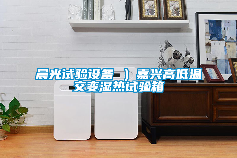 晨光試驗(yàn)設(shè)備 ）嘉興高低溫交變濕熱試驗(yàn)箱