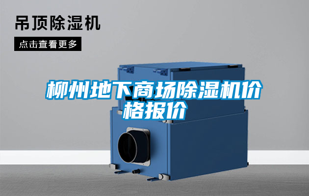 柳州地下商場(chǎng)除濕機(jī)價(jià)格報(bào)價(jià)