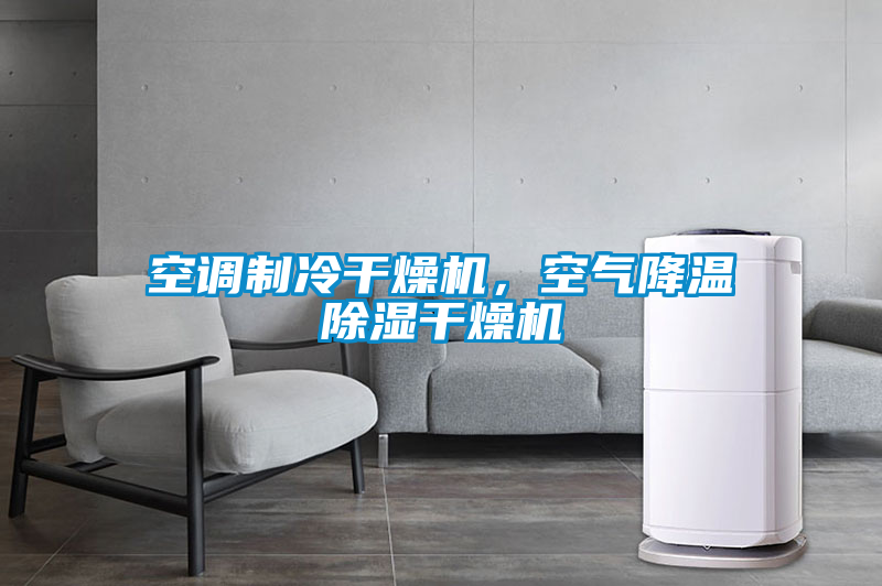 空調(diào)制冷干燥機(jī)，空氣降溫除濕干燥機(jī)