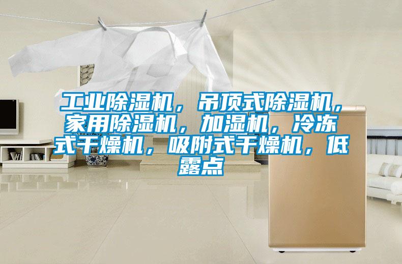 工業(yè)除濕機(jī)，吊頂式除濕機(jī)，家用除濕機(jī)，加濕機(jī)，冷凍式干燥機(jī)，吸附式干燥機(jī)，低露點(diǎn)
