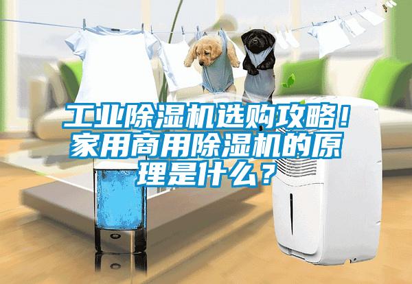 工業(yè)除濕機選購攻略！家用商用除濕機的原理是什么？