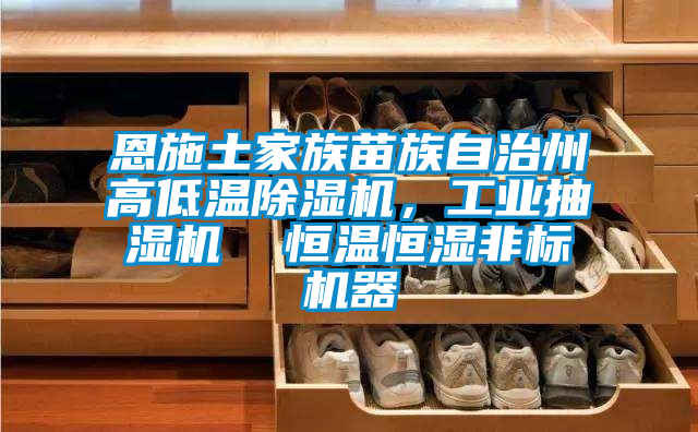恩施土家族苗族自治州高低溫除濕機(jī)，工業(yè)抽濕機(jī)  恒溫恒濕非標(biāo)機(jī)器
