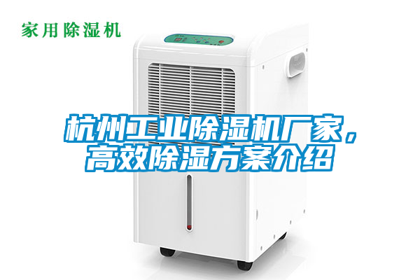杭州工業(yè)除濕機廠家，高效除濕方案介紹