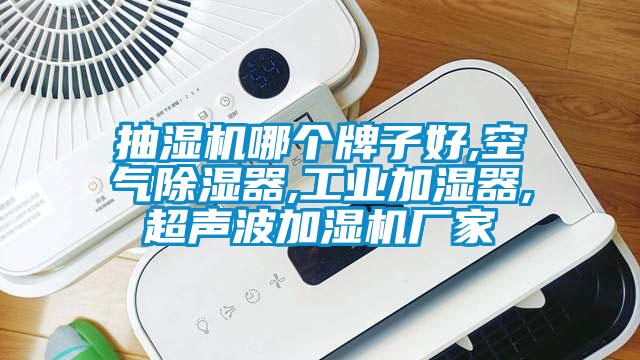抽濕機(jī)哪個(gè)牌子好,空氣除濕器,工業(yè)加濕器,超聲波加濕機(jī)廠家