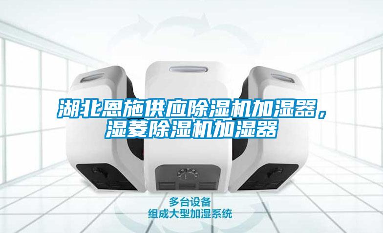 湖北恩施供應(yīng)除濕機(jī)加濕器，濕菱除濕機(jī)加濕器