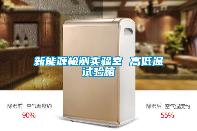 新能源檢測實(shí)驗(yàn)室 高低溫試驗(yàn)箱