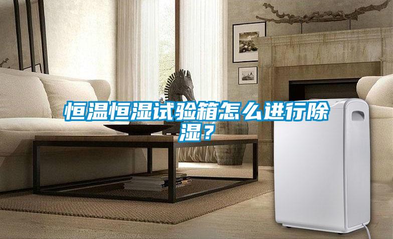 恒溫恒濕試驗(yàn)箱怎么進(jìn)行除濕？