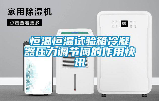 恒溫恒濕試驗(yàn)箱冷凝器壓力調(diào)節(jié)閥的作用快訊
