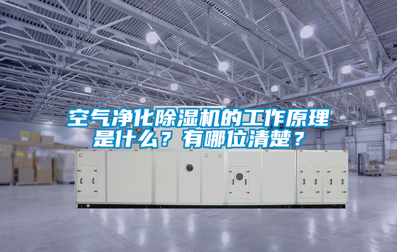空氣凈化除濕機的工作原理是什么？有哪位清楚？