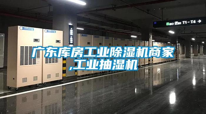 廣東庫(kù)房工業(yè)除濕機(jī)商家,工業(yè)抽濕機(jī)
