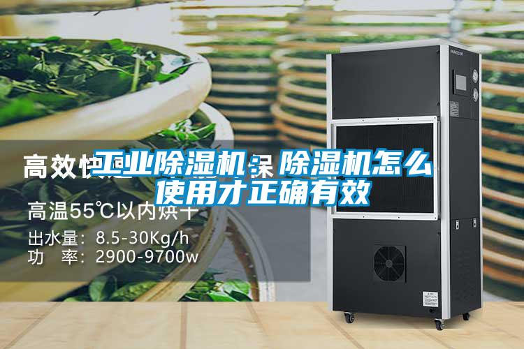 工業(yè)除濕機：除濕機怎么使用才正確有效