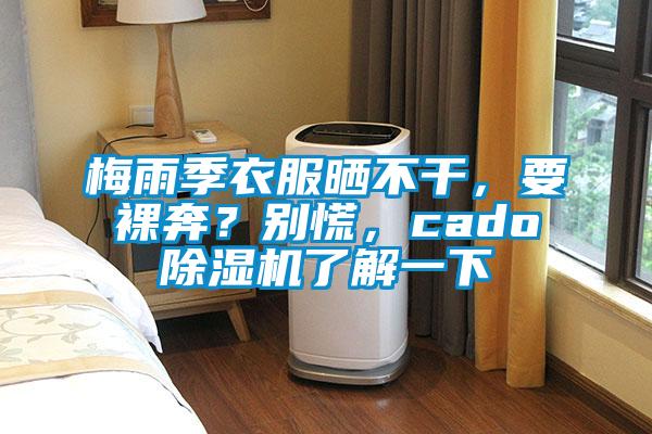 梅雨季衣服曬不干，要裸奔？別慌，cado除濕機(jī)了解一下