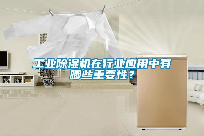 工業(yè)除濕機在行業(yè)應用中有哪些重要性？
