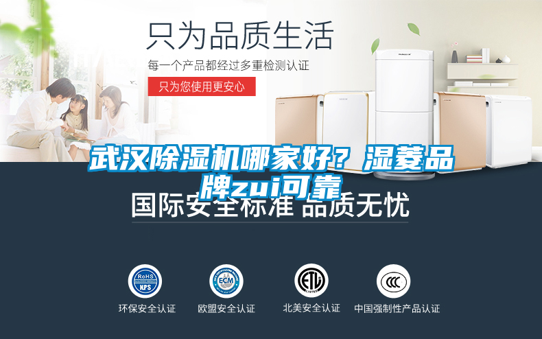 武漢除濕機(jī)哪家好？濕菱品牌zui可靠