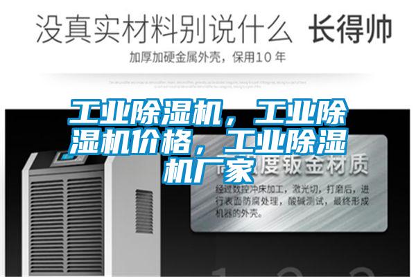 工業(yè)除濕機，工業(yè)除濕機價格，工業(yè)除濕機廠家