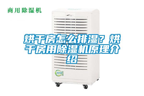 烘干房怎么排濕？烘干房用除濕機原理介紹