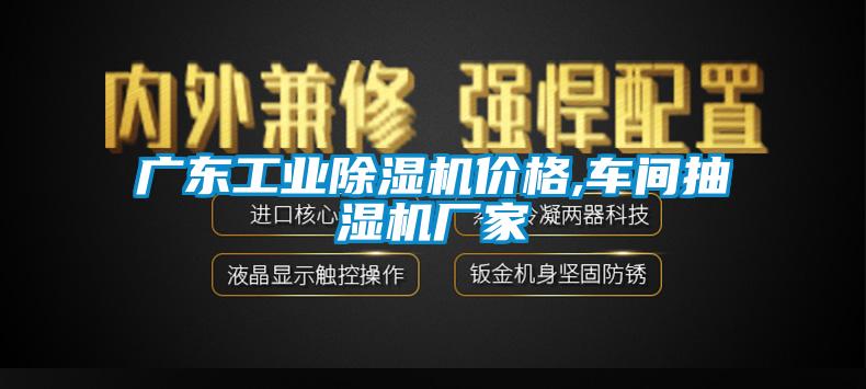 廣東工業(yè)除濕機價格,車間抽濕機廠家