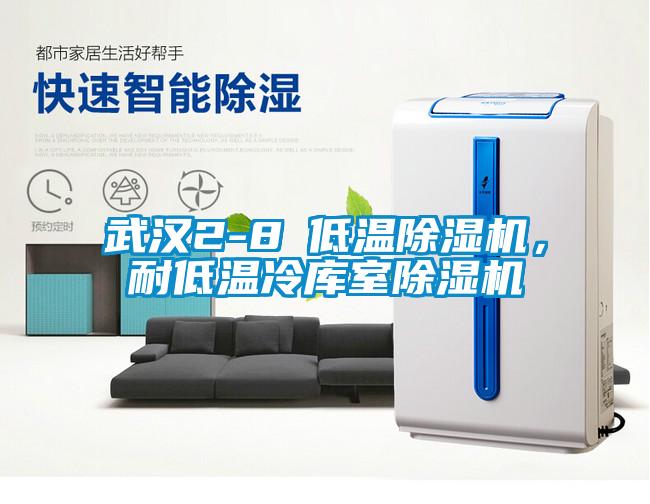 武漢2-8℃低溫除濕機，耐低溫冷庫室除濕機