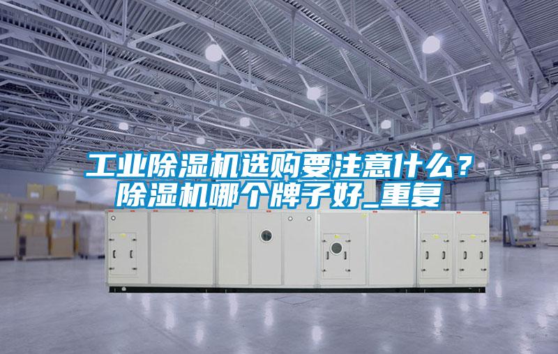 工業(yè)除濕機選購要注意什么？除濕機哪個牌子好_重復