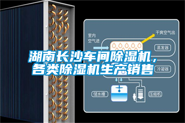 湖南長沙車間除濕機，各類除濕機生產銷售