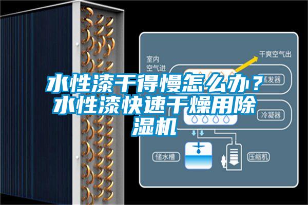 水性漆干得慢怎么辦？水性漆快速干燥用除濕機(jī)