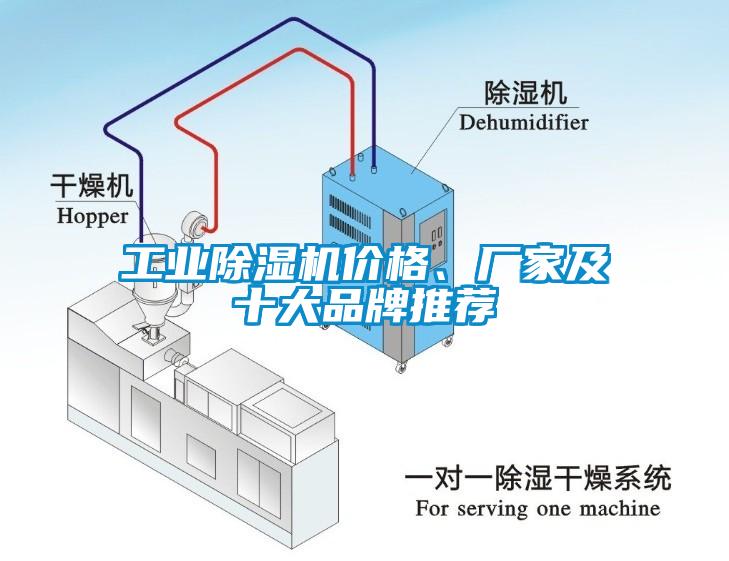 工業(yè)除濕機(jī)價(jià)格、廠家及十大品牌推薦