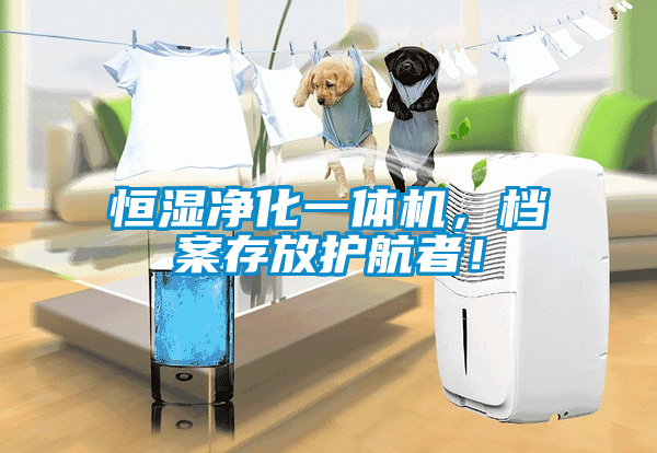 恒濕凈化一體機(jī)，檔案存放護(hù)航者！