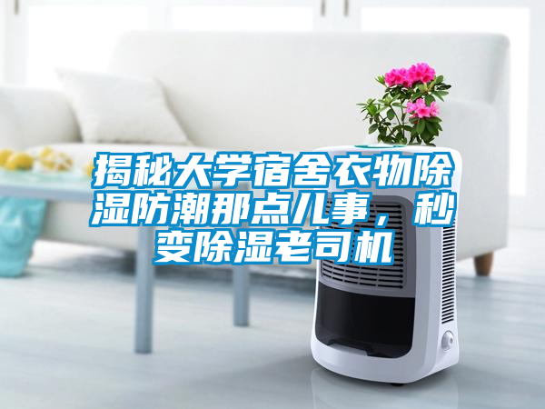 揭秘大學(xué)宿舍衣物除濕防潮那點(diǎn)兒事，秒變除濕老司機(jī)