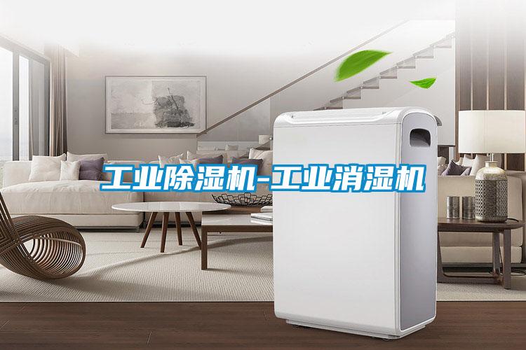 工業(yè)除濕機-工業(yè)消濕機