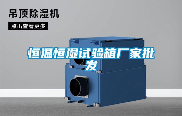 恒溫恒濕試驗(yàn)箱廠家批發(fā)