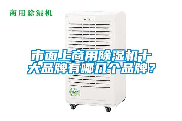 市面上商用除濕機十大品牌有哪幾個品牌？