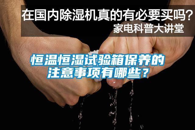 恒溫恒濕試驗(yàn)箱保養(yǎng)的注意事項(xiàng)有哪些？