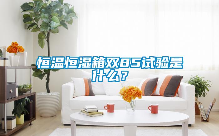 恒溫恒濕箱雙85試驗是什么？