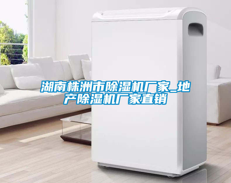 湖南株洲市除濕機廠家_地產(chǎn)除濕機廠家直銷