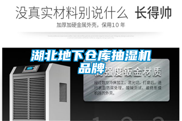 湖北地下倉庫抽濕機(jī)品牌