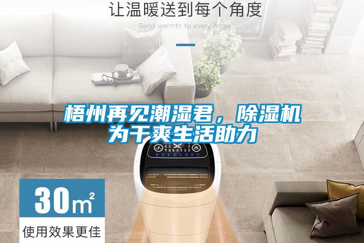 梧州再見潮濕君，除濕機(jī)為干爽生活助力