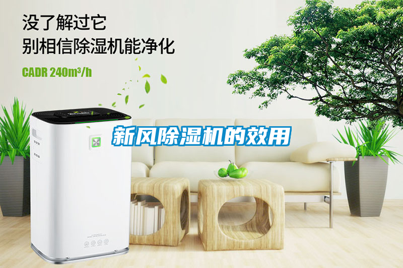 新風(fēng)除濕機的效用