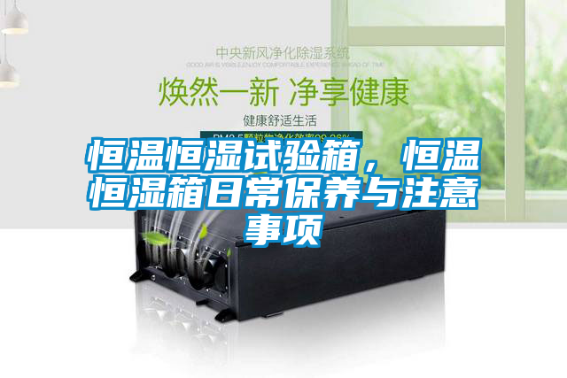 恒溫恒濕試驗箱，恒溫恒濕箱日常保養(yǎng)與注意事項