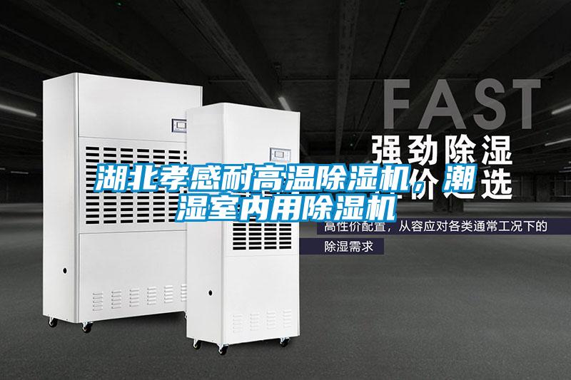 湖北孝感耐高溫除濕機，潮濕室內用除濕機