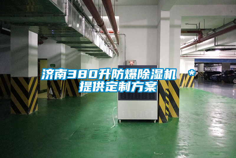 濟(jì)南380升防爆除濕機(jī) ＊提供定制方案