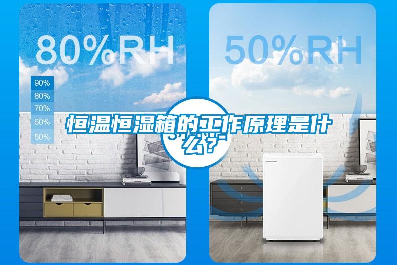 恒溫恒濕箱的工作原理是什么？