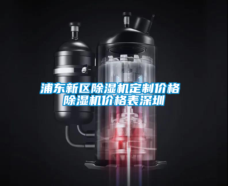 浦東新區(qū)除濕機(jī)定制價格 除濕機(jī)價格表深圳